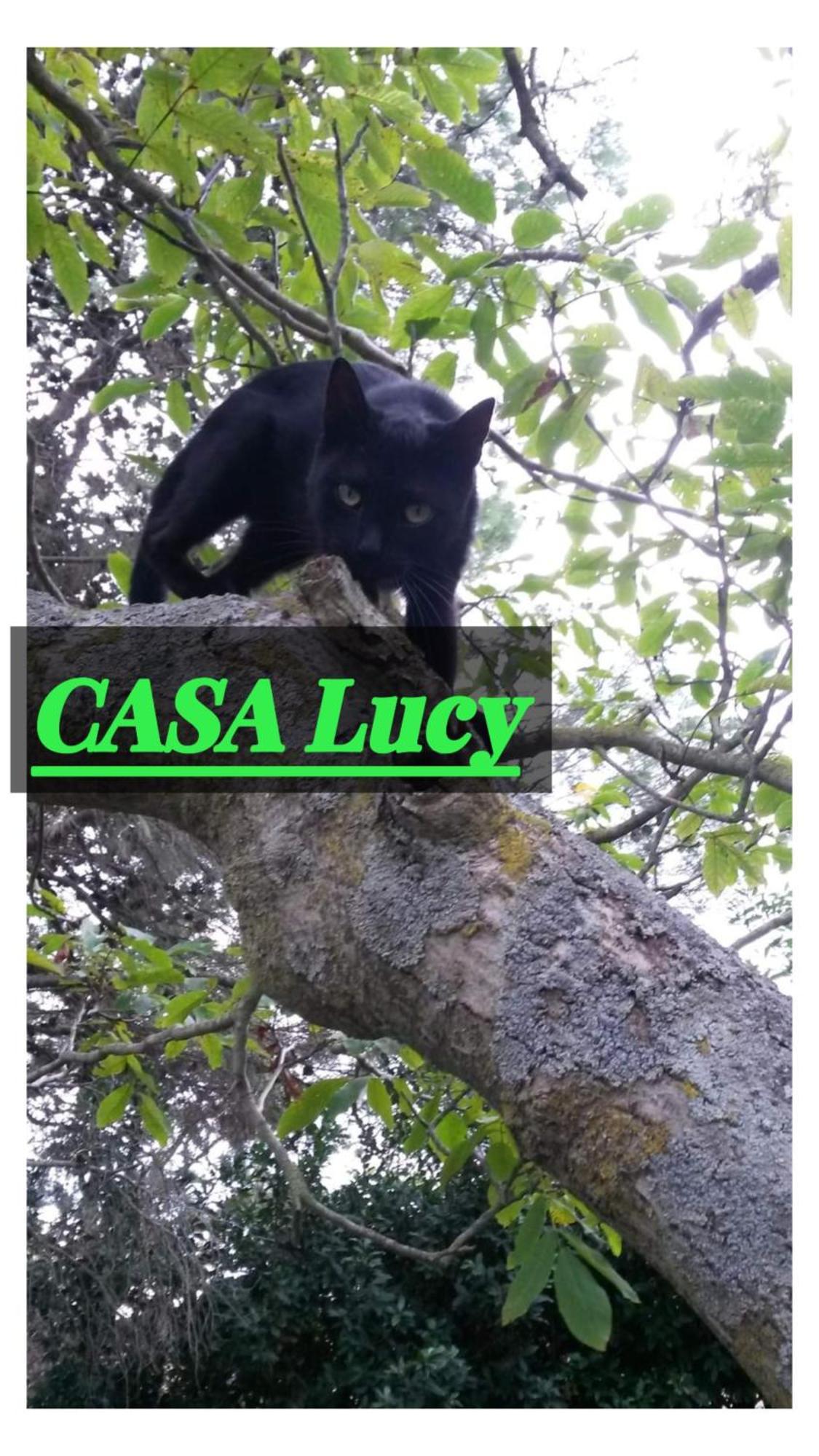 Casa Lucy Daire Pitigliano Dış mekan fotoğraf